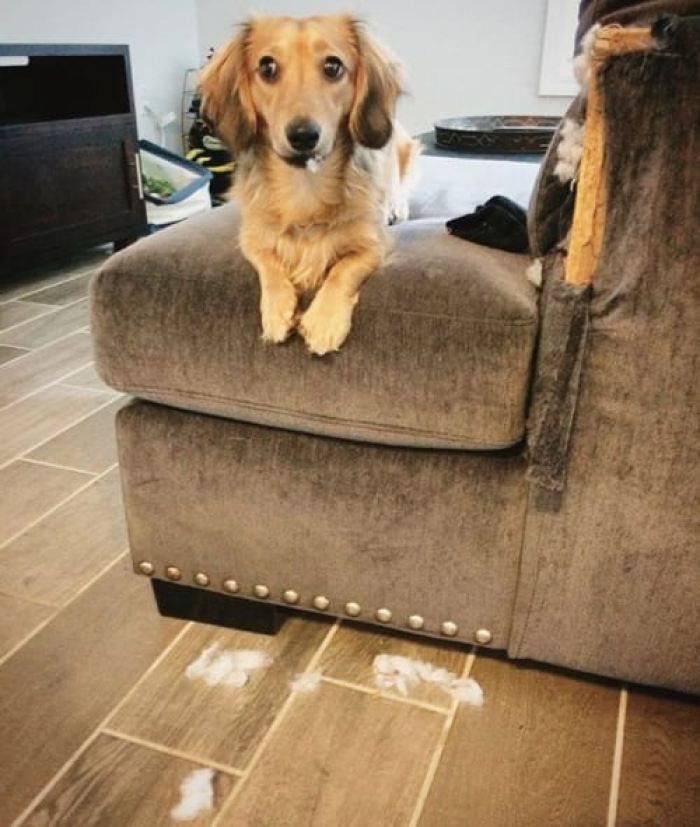 "I don't know; I just got here, and it was already like this."