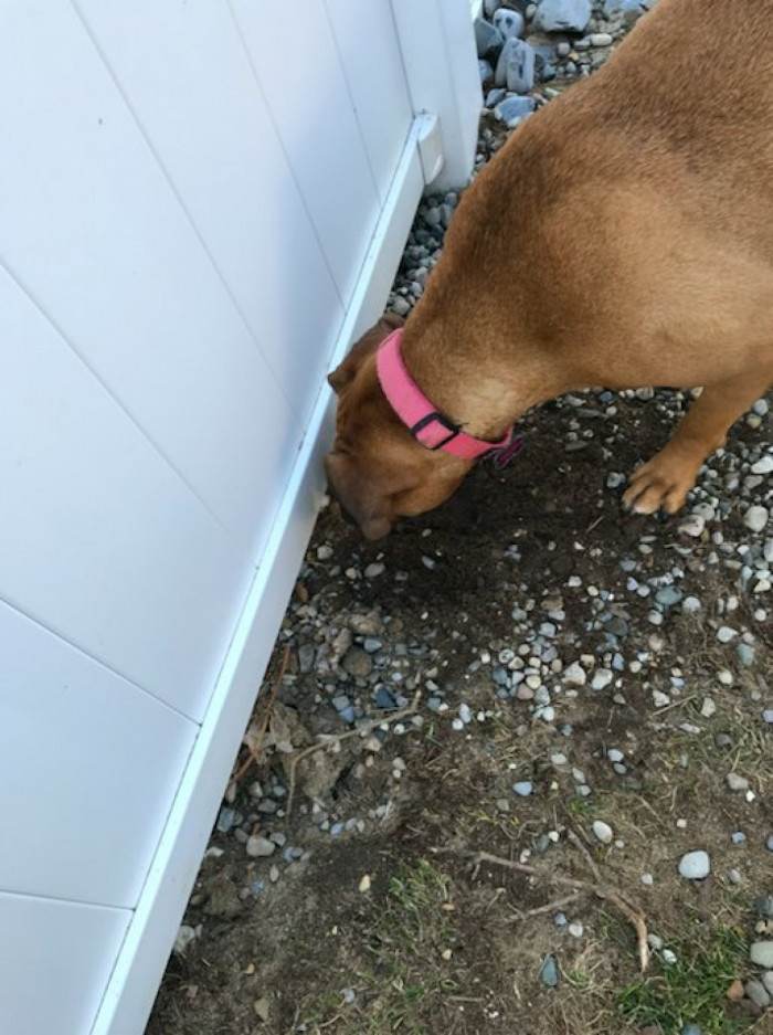 It's only a matter of time...