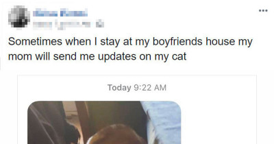 Girl Gets Hilarious Updates About Her Cat Whenever She Stays Away at Her BF's House