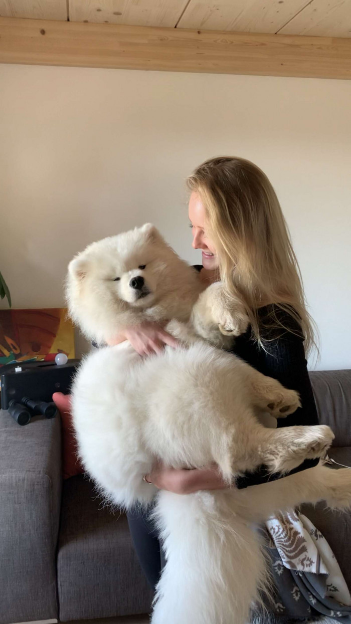 Fluffy white dog Luna hesitates at glass stairs, refusing to go down