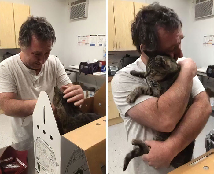 1. A reunion with his 19-year-old cat after 7 years