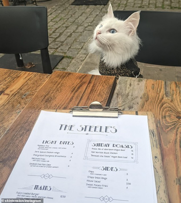 She will happily meow to let Travis know when she wants to jump out and stretch her legs.