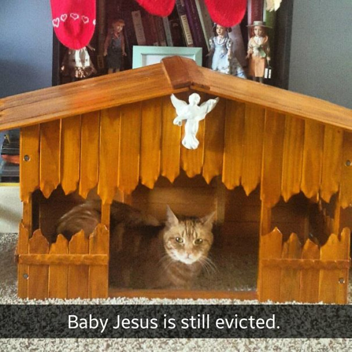32. "Landlord Kitty Has No Sympathy For Your Sad Tale, Mary"