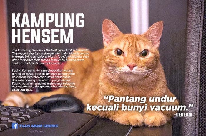 20. Kampung Hensem