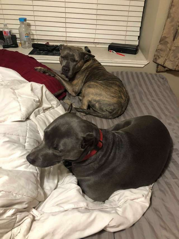 One evening, Robert was sitting in the garage when, without warning, four strangers appeared out of nowhere and began attacking him.