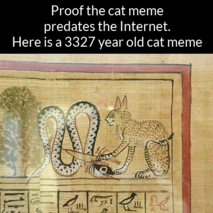 Cat Memes Are Eternal, Thankfully.