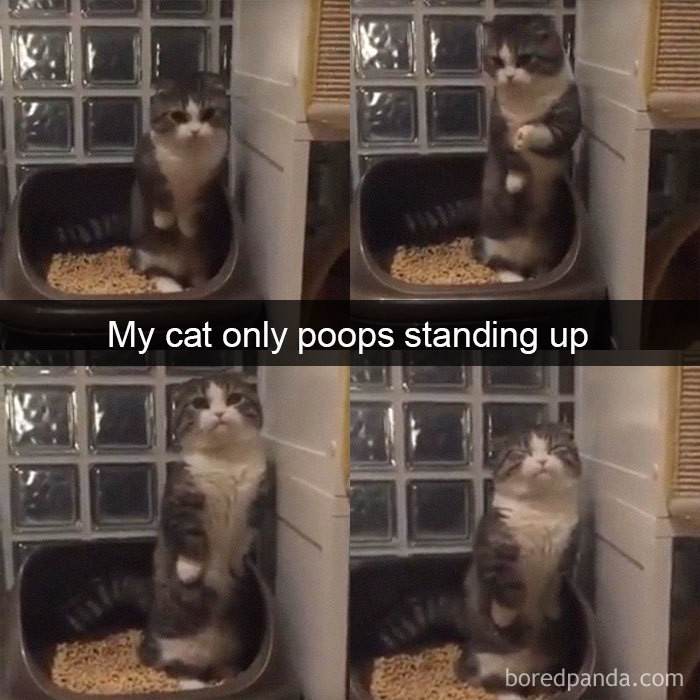 I've Never Seen Anything Like This Before!