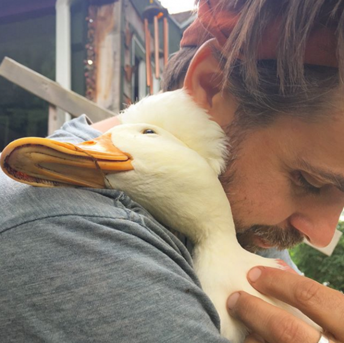 12. You can see the love in the duck's eyes.