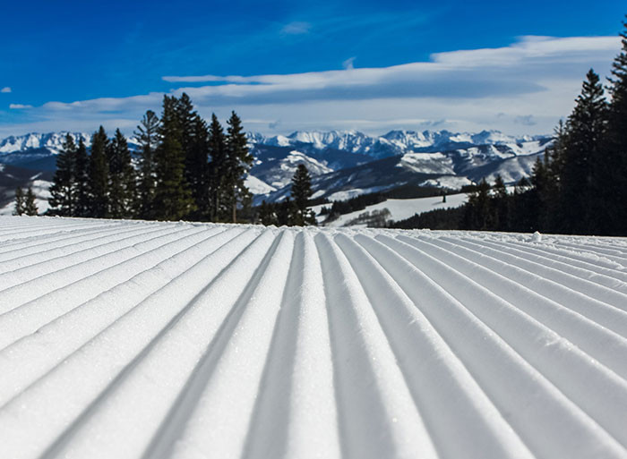 2. We keep the snow in the fridge