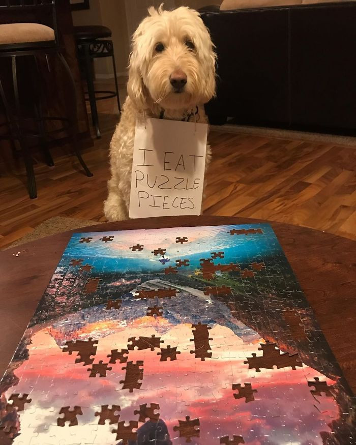 30. "Thought I Would Do This Great Puzzle Of A Kayaker In A Gorgeous Location. I Couldn't Wait To Finish It, Maybe Even Glue It And Hang It, You Know!?"