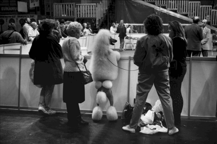 14. Birmingham, England, 1991