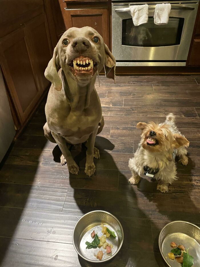 30. Say cheese! These two are in love.