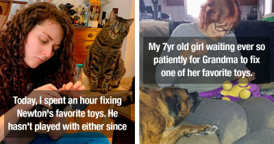 Pets Who Are So Attached To Their Toys That They Supervise Their Humans The Whole Time They're Fixing Them