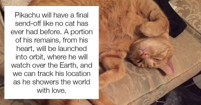 Strange Man Vows To Launch Cat's Ashes Into Space For An Out Of This World Burial