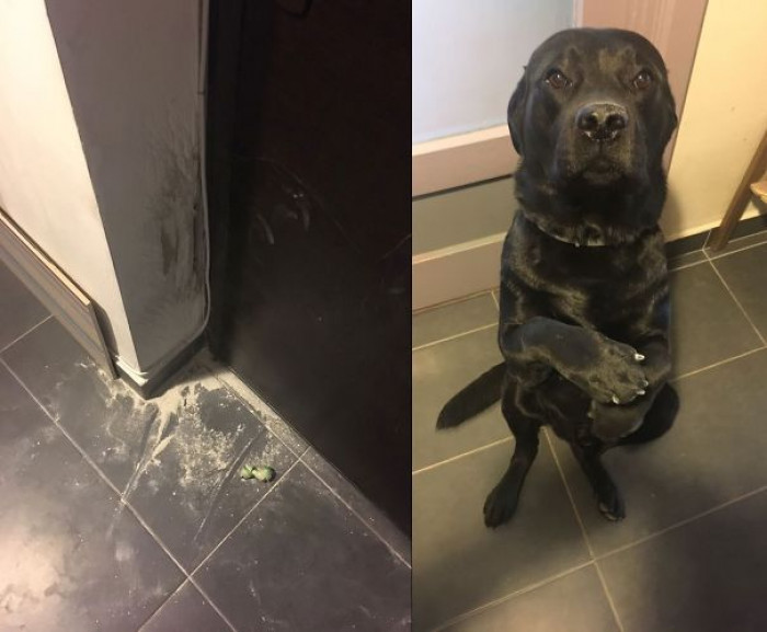 10. Mission accomplished