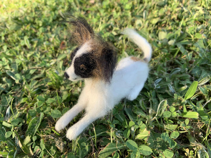 10. Puppy in the grass