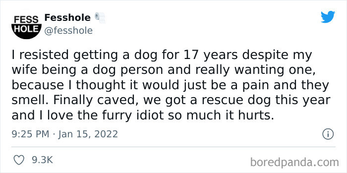 #19 You Just Got to Love Dogs