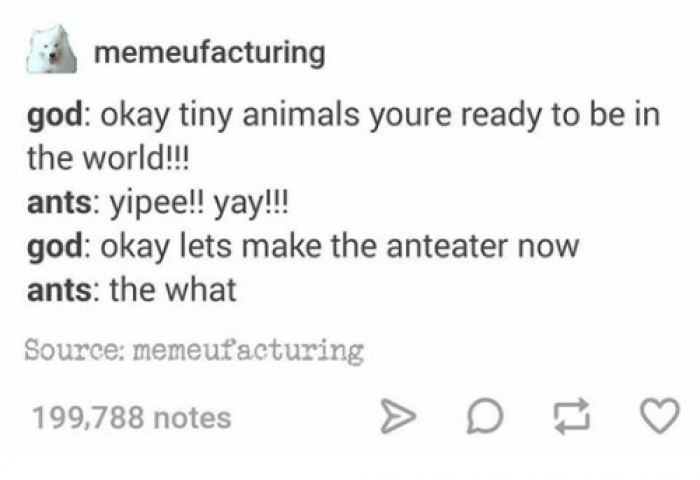 Turkeys depicted as the final animal in a funny imagined series