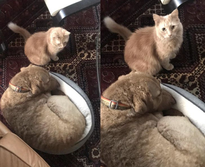 10. "See this human? It's unacceptable!"
