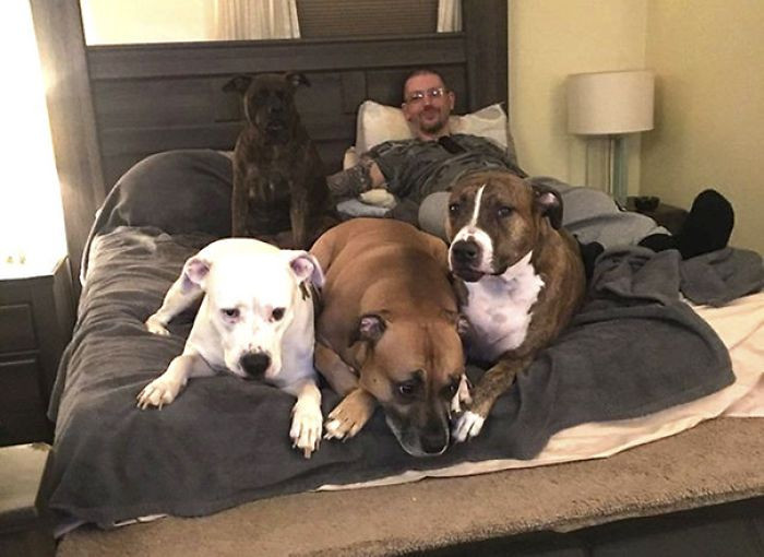 Meet Aaron and His Lucky Dogs!