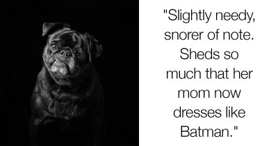 Photographer Takes Wonderful Portraits Of Black Dogs And Cats From The Shelter To Help Them Find A Home