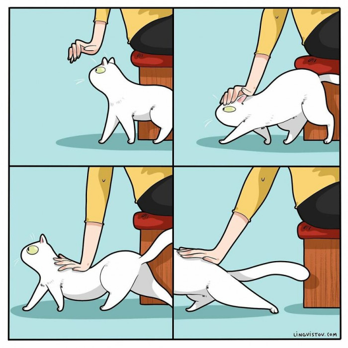 5. The ultimate full-body pet