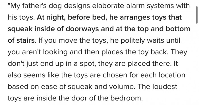 11. Elaborate alarm systems...