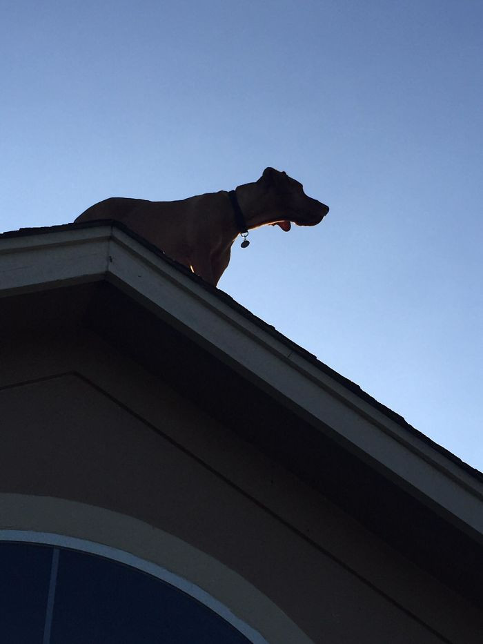 "We didn’t realize it until neighbors came and rang our doorbell."