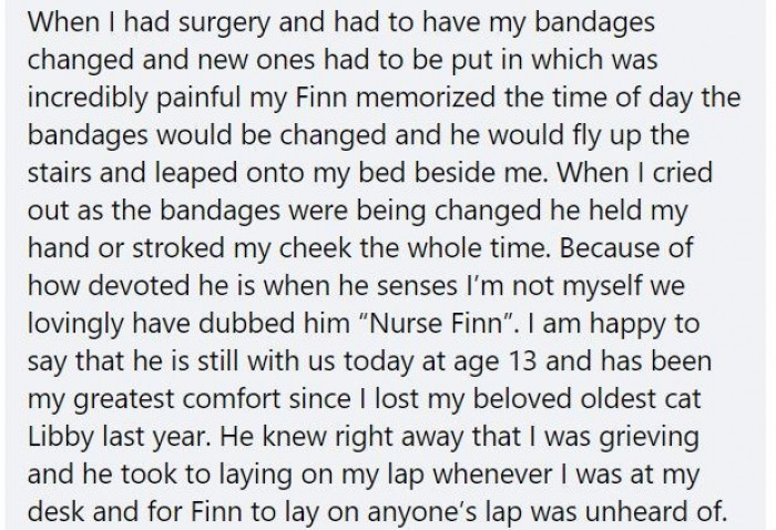 Cats can be the best comfort during hard times.