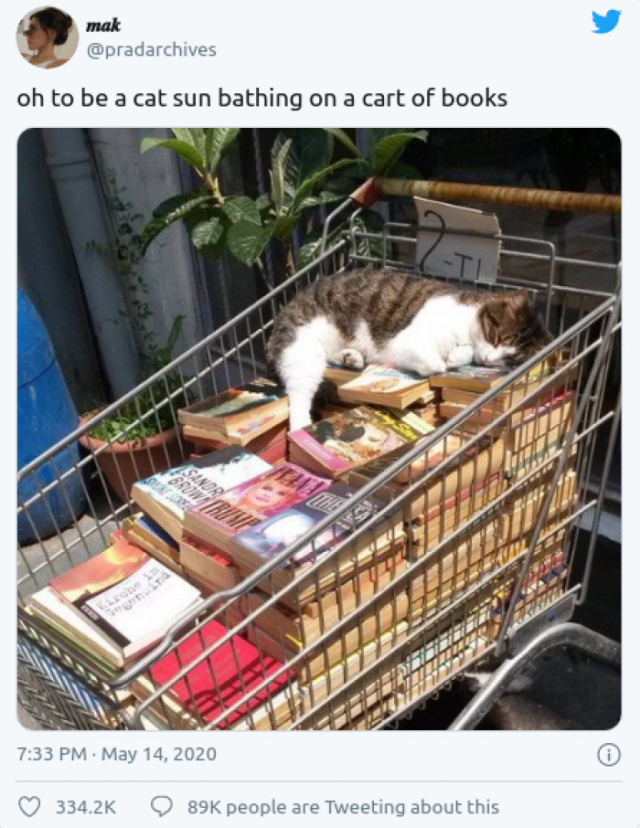 4. Oh, oh indeed. What we wouldn't give to live the good cat life.