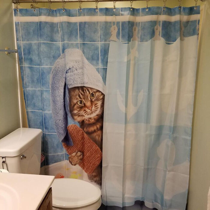 8. You've Got to Love Our Shower Curtain