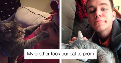 This Guy Is Proof That The Ultimate Prom Date Is Your Cat