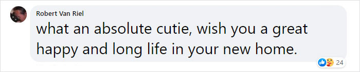 Reading about Lady Purrl's inspirational journey, people on the internet shared a lot of praise for her.