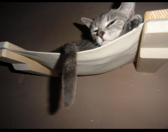 Wall-Mounted Cat Hammock