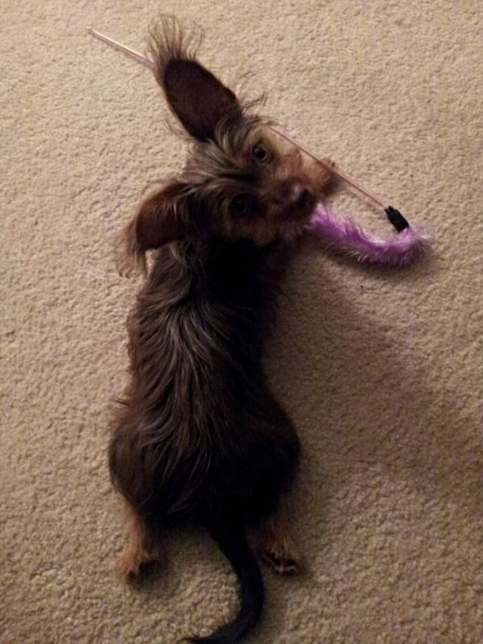 15. "Uh, I got it!"