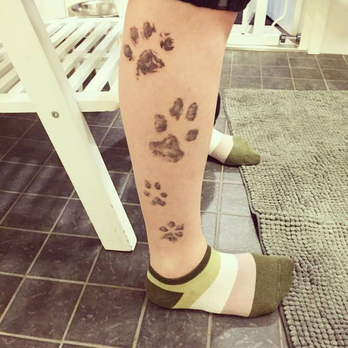 16. Paw tattoo all over