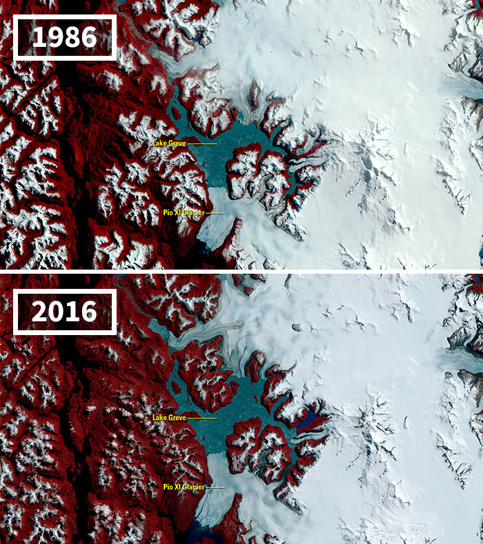 One Glacier Defies Trend Of Receding