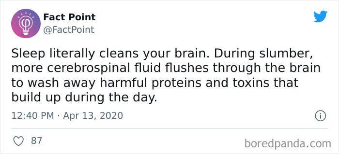 27. Sleep Is the Body's Way of Deep Cleaning the Human Brain.