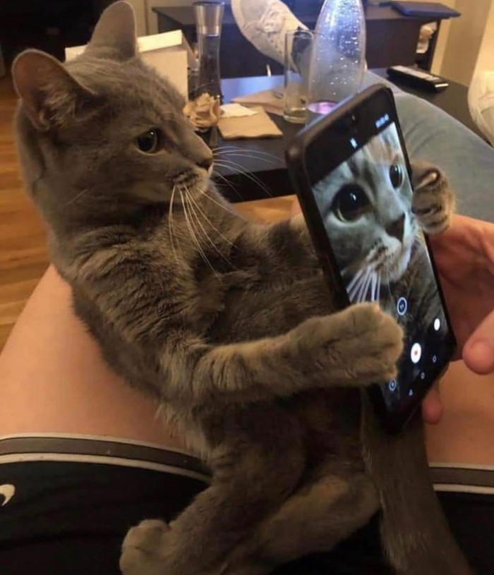 7. But first, a selfie.