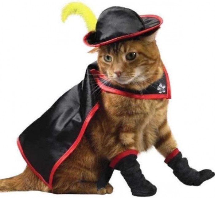 Puss in Boots