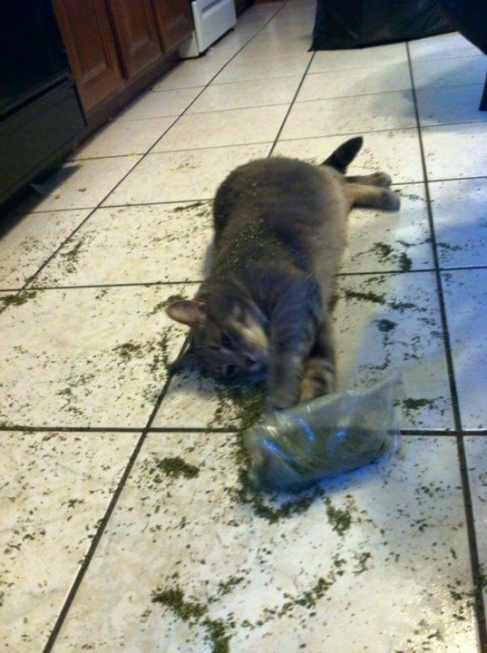 7. Just one more....