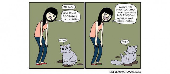 The Instinct to Save Every Kitty You See