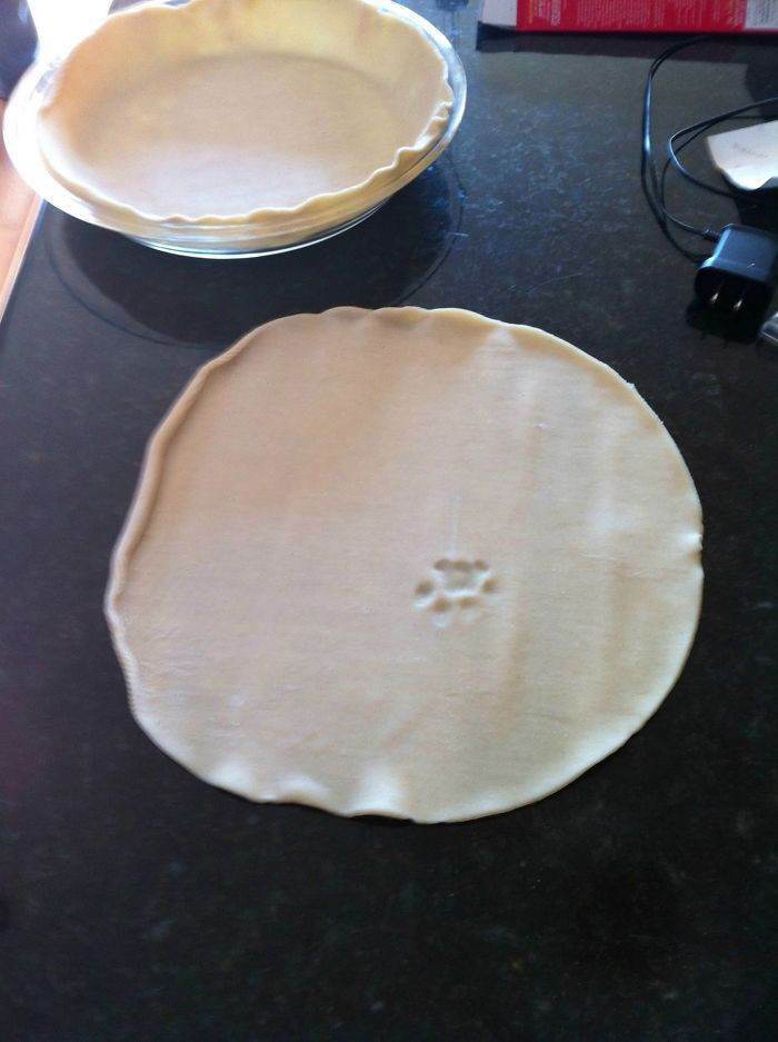 "I made a pie crust. I turned around to get the filling. When I turned back around, this is what I found."