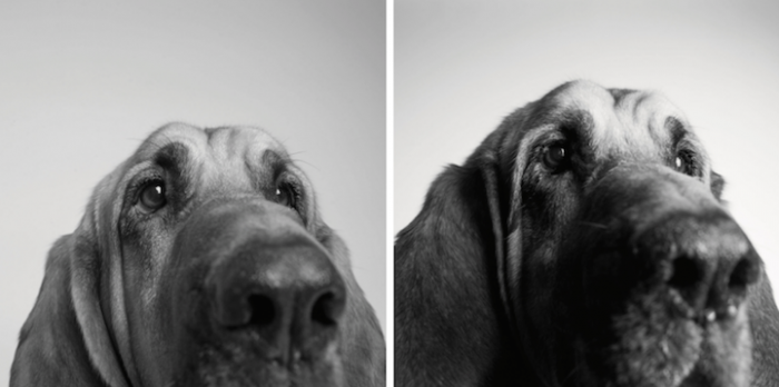 13. Copper, 3 years and 10 years.