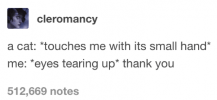 Genuinely the most blessed thing ever.