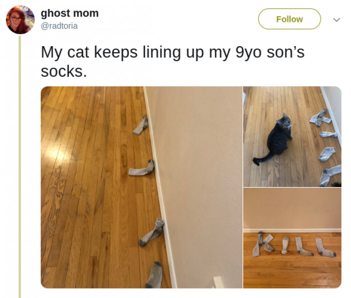 24. What a madman.