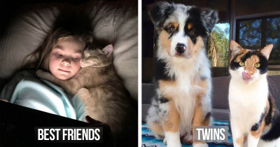 20 Hilarious Cat Based Snapchats That Will Leave You Smiling For Days