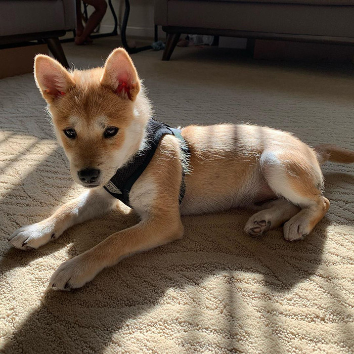 #30 Sunbathing and nearly naked