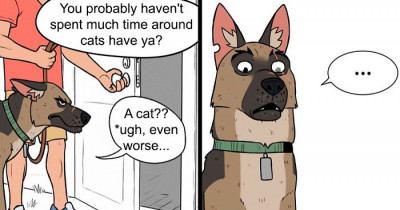 'Pixie & Brutus' Comic Creator Adds 18 New Strips To Adorable Instagram Series