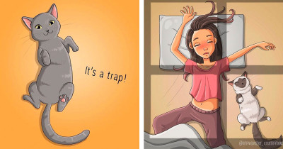 Cat Life Is Perfectly Showcased By This Artist's Wonderful Illustrations